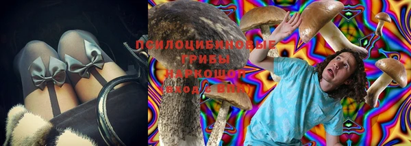 СК Алексеевка